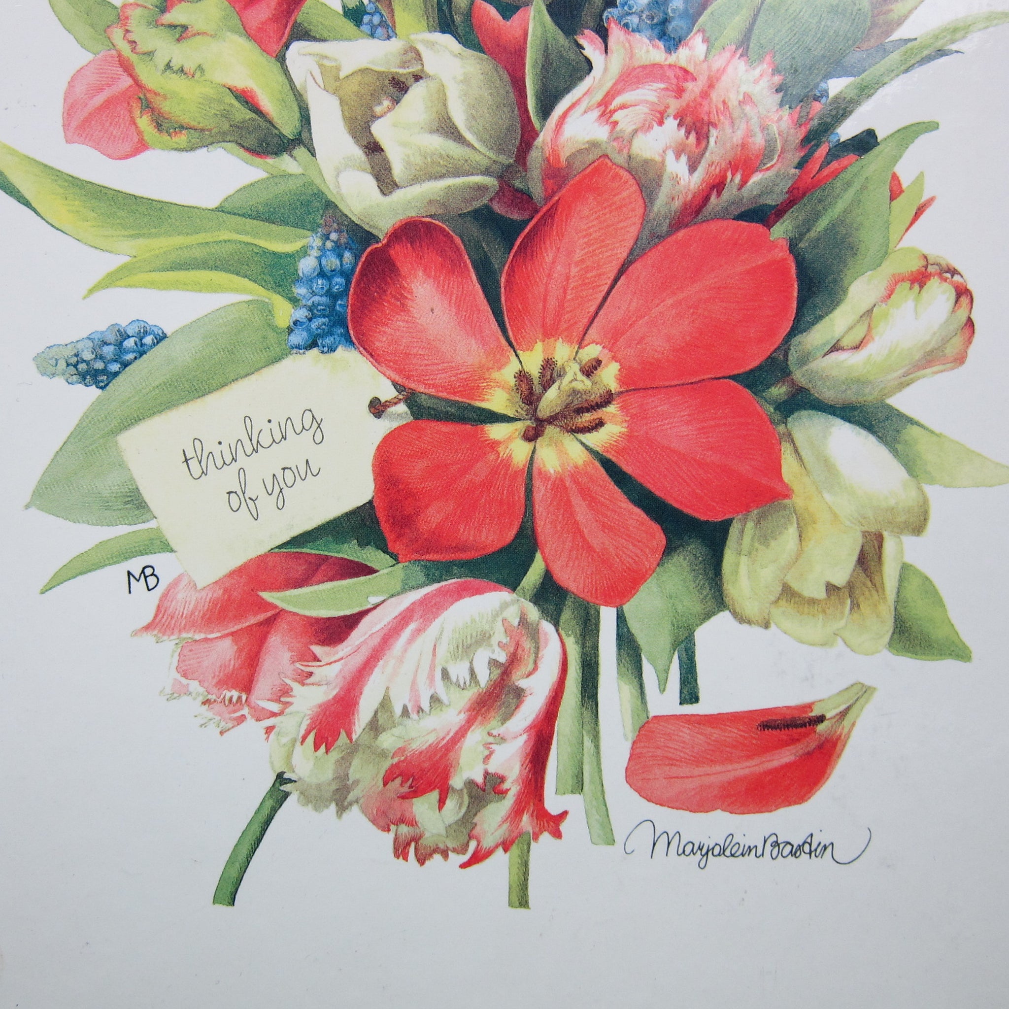 Greeting Card Organizer, Watercolor Floral 